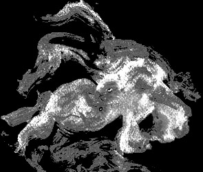 ������� � ����� �������