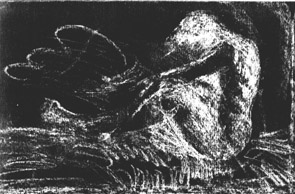 ������� � ����� �������