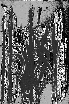 ������� � ����� �������