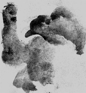 ��������� � ��������� �������������