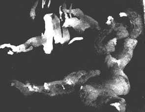 ������� � ����� �������