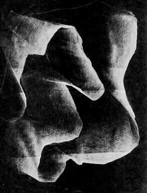 ������� � ����� �������