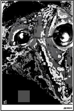 ������������� ����� ������ ������